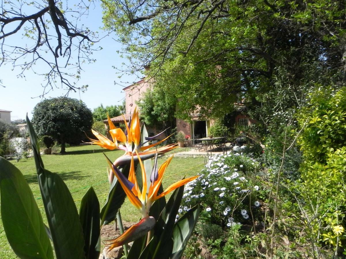 B&B Le clos des vignes Saint Raphael Extérieur photo